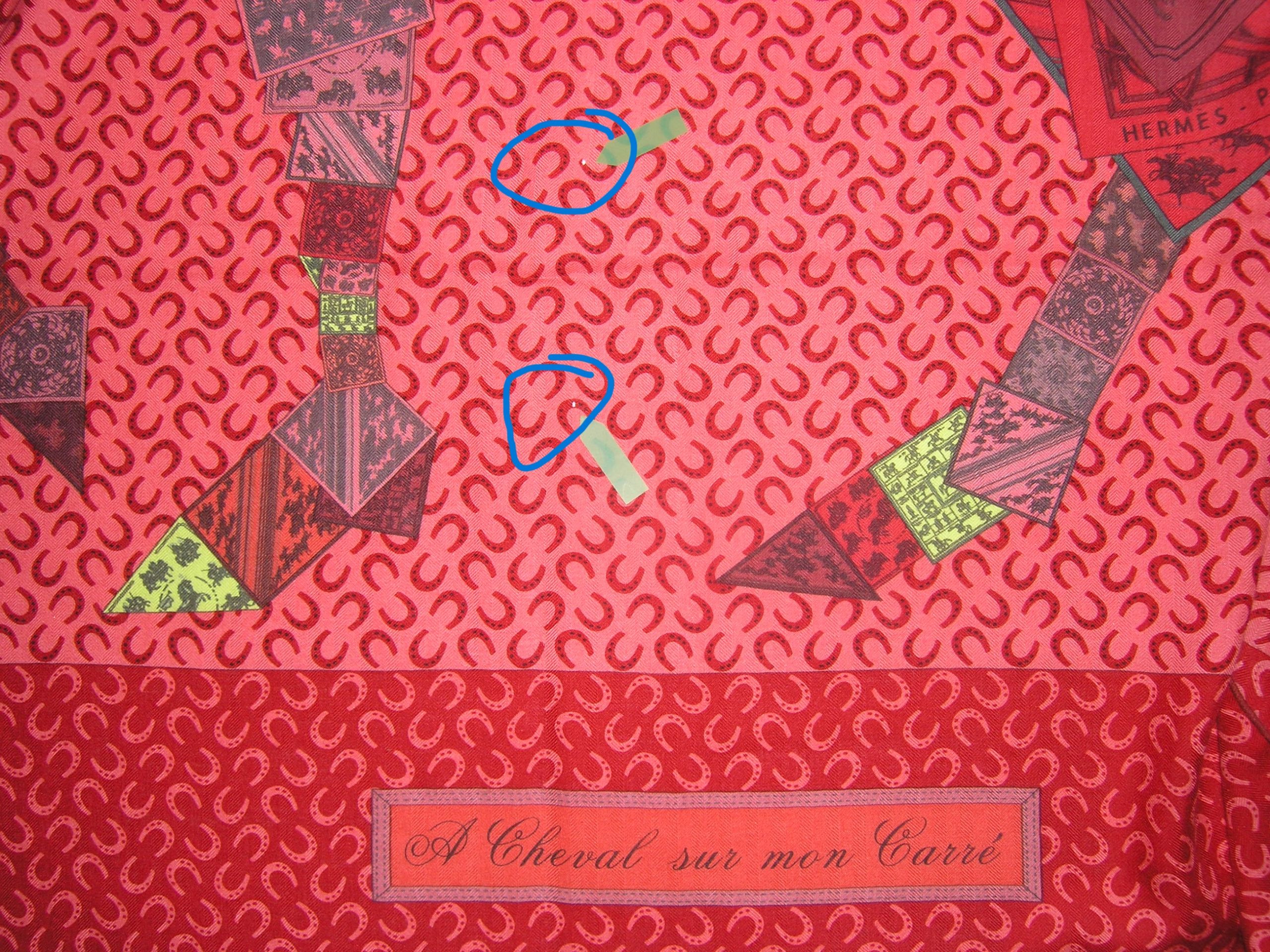 A Cheval Sur Mon Carre Hermes Cashmere Shawl