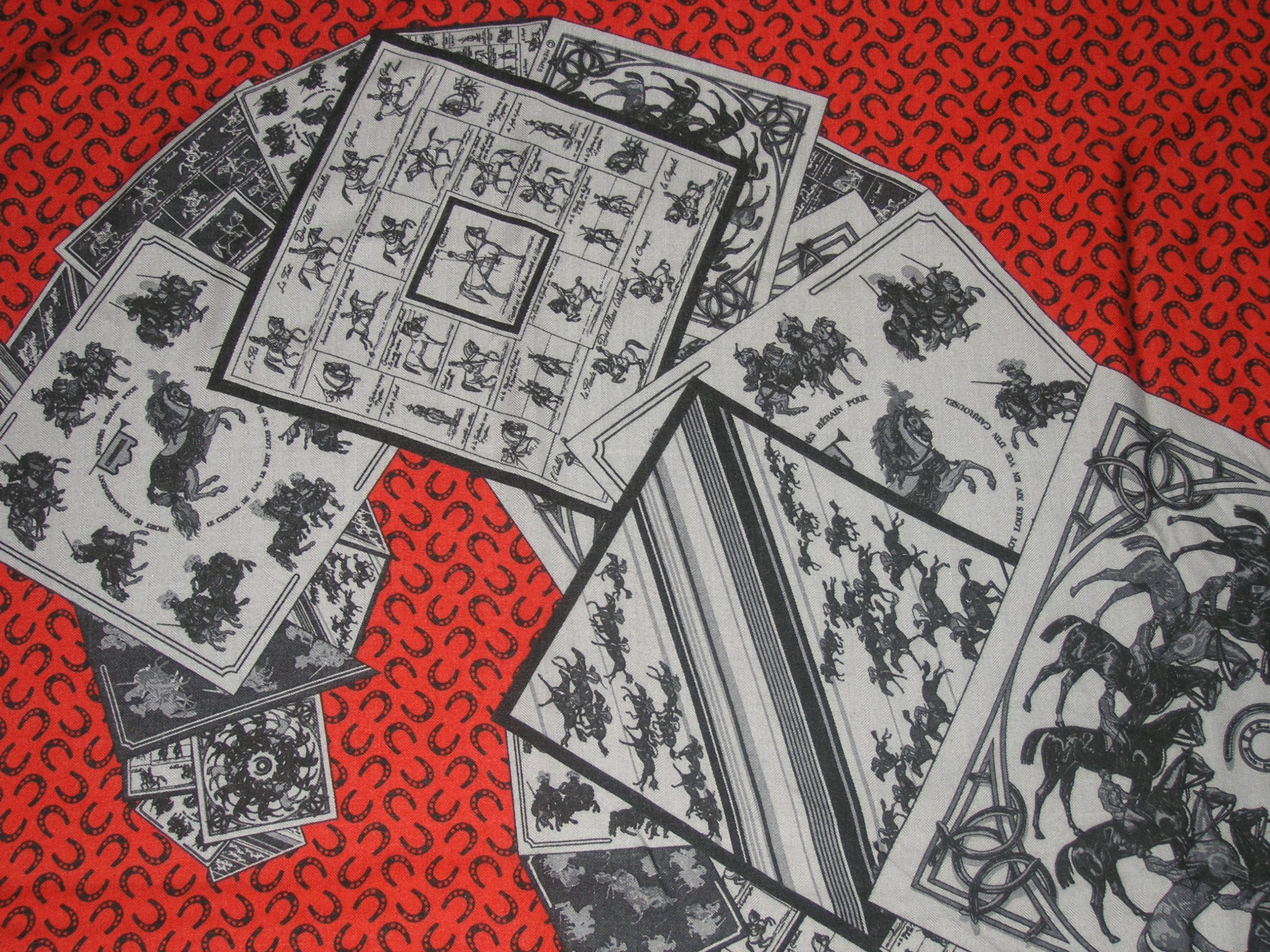 A Cheval Sur Mon Carre Hermes Cashmere Shawl