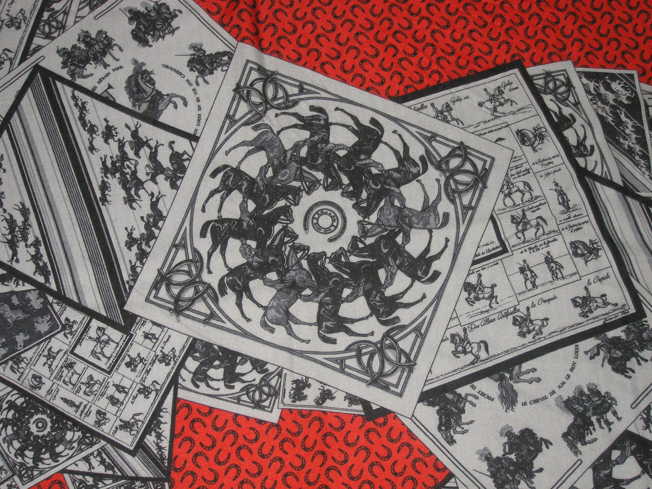 A Cheval Sur Mon Carre Hermes Cashmere Shawl